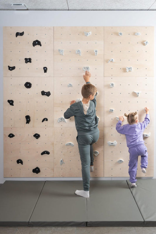 ✨Kids Indoor Climbing Wall Panel Kit🎈: Plywood Rock Climbing & kids toys🎨